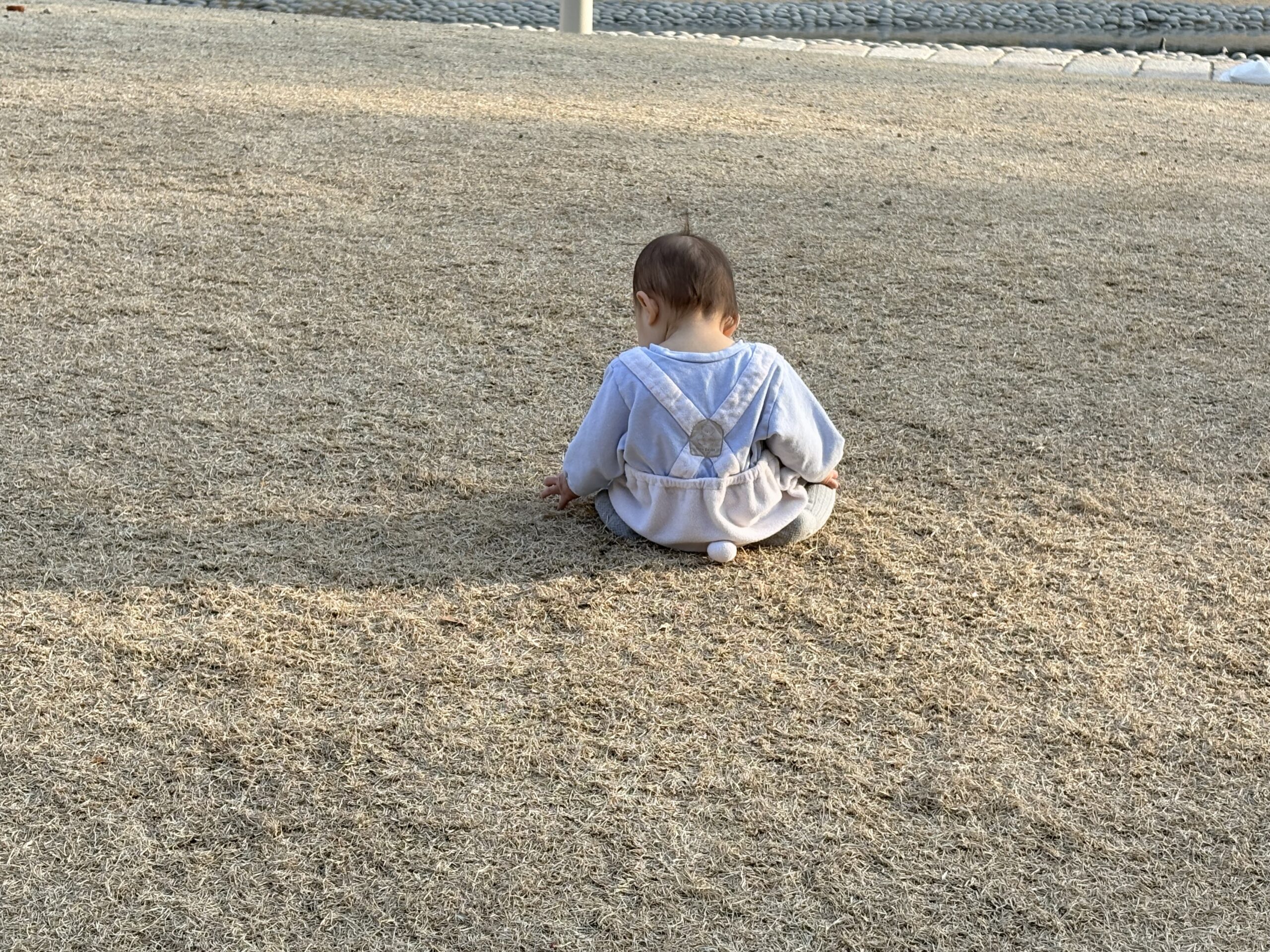 ぽりまま